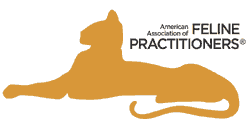 American Association of Feline Practitioners