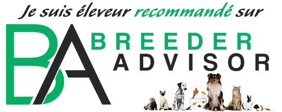 Badge Breeder Advisor