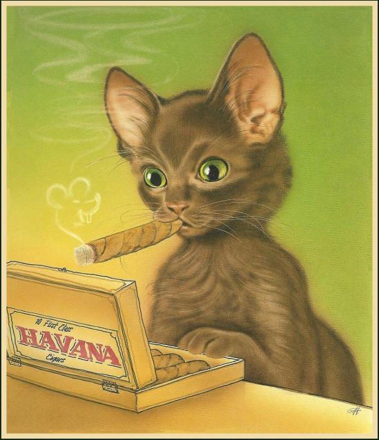 Cigar cat